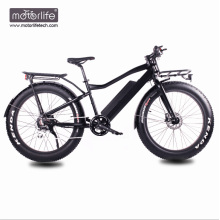 1000w Hottest fettes billiges elektrisches Schneefahrrad mit versteckter Batterie, Berg 8fun mittleres Laufwerkmotor-elektrisches Fahrrad